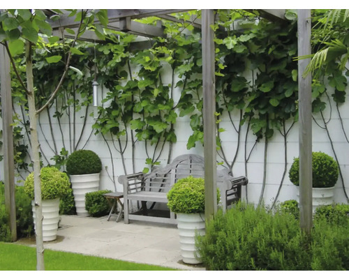 Aangelegde tuin met houten pergola, zitbank, planten en plantenbakken.