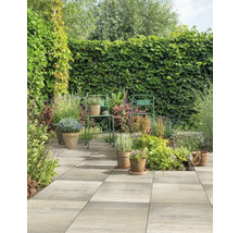 Tuin met stenen platenpad, beplante potten en groene planten