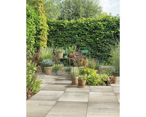 Tuin met stenen platenpad, beplante potten en groene planten