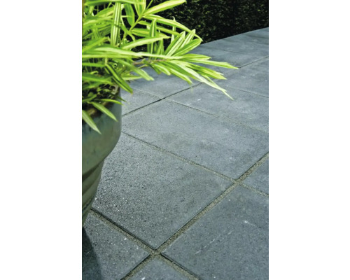 Terras met betonnen straatstenen en potplant