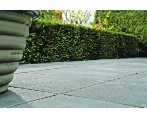 Tuinpad van straatstenen met potplant en heg