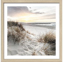Ingelijste afbeelding van een duinlandschap op het strand