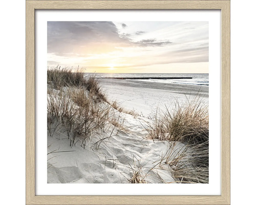 Ingelijste afbeelding van een duinlandschap op het strand