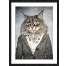 Ingelijste foto van een kat met vest en halsketting