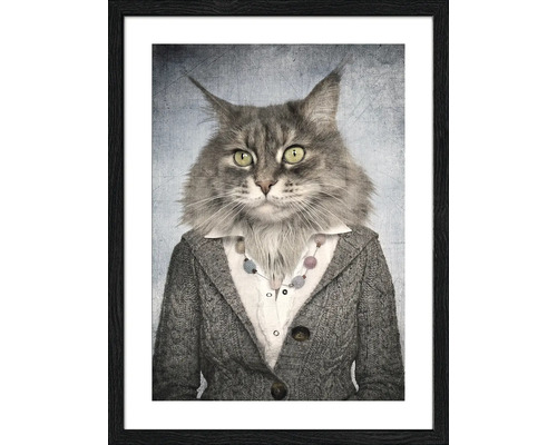 Ingelijste foto van een kat met vest en halsketting