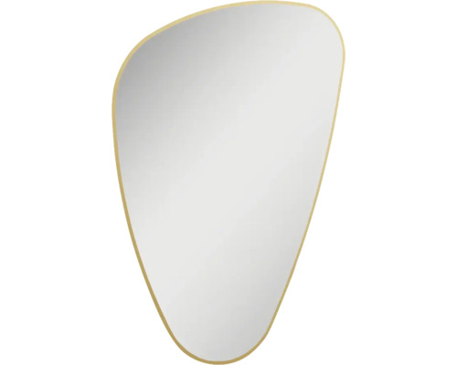 Irreguliere spiegel met frame