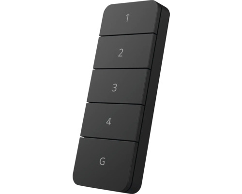 Zwarte afstandsbediening met de cijfers 1 tot en met 4 en de letter G
