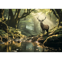 Hert in bos met beek en bomen