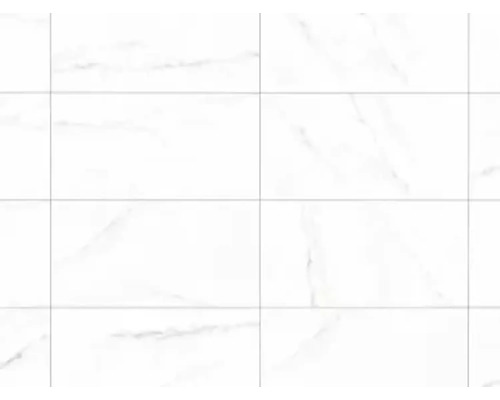 Wand- en vloertegel Verona blanco 32x62,5 cm
