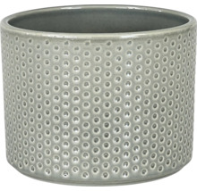 Decoratieve plantenpot met stippenpatroon voor binnenshuis
