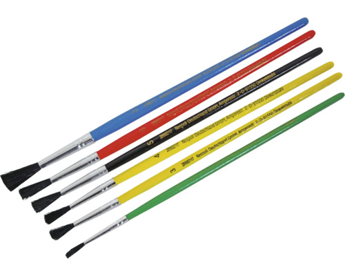 Set van zes borstelpenseelen met gekleurde handvatten