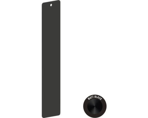 Matzwarte toiletbedieningsplaat