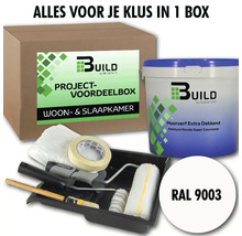 Verf complete set voor woon- en slaapkamer inclusief accessoires