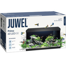 Juwel Primo 60 LED aquarium complete set in doos