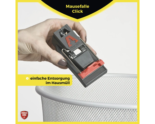 Een hand houdt een muizenval boven een vuilnisbak voor eenvoudige verwijdering.