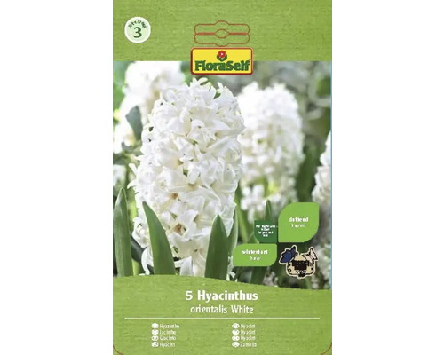 FLORASELF Bloembollen Hyacint Hyacinthus 5 Stuks