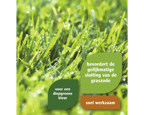 Close-up van gazon met waterdruppels en aanduidingen over een product voor een dichte, groene grasmat