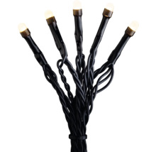 Lichtsnoer met warmwitte LEDs en zwarte kabel