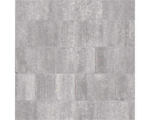 EXCLUTON Straatsteen Abbeystones getrommeld grigio, 20x30x6 cm