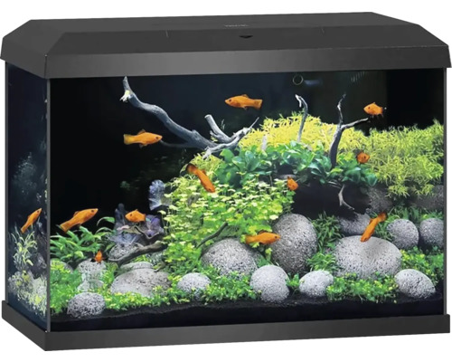 JUWEL Aquarium Primo LED zwart 70 L, 61x31x44 cm