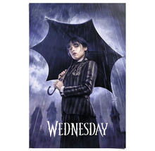 REINDERS Poster Wednesday - Downpour 61x91,5 cm