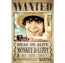 REINDERS Poster One Piece - D. Luffy 61x91,5 cm