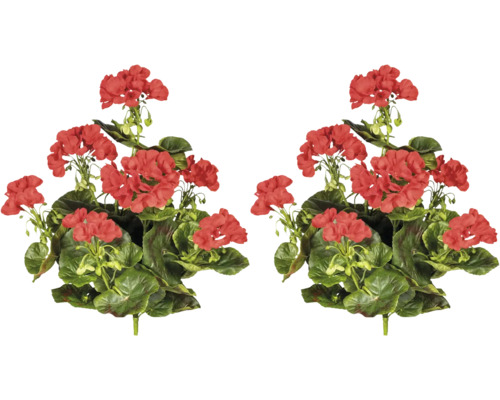 Geranium met rode bloemen en groene bladeren