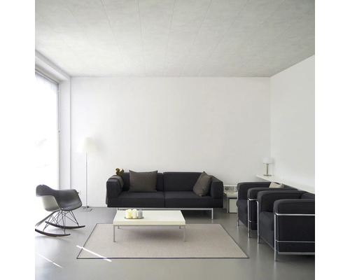 DUMAPLAST Plafondbekelding Dumapan Clip inuvik 1200x250x10 mm Lichte woonkamer met zwarte bank, fauteuils, witte salontafel en vloerkleed.