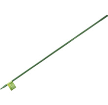 Plantensteun voor de tuin