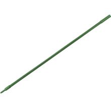 Een enkele groene grondanker voor de tuin