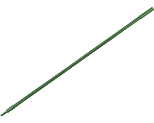Een enkele groene grondanker voor de tuin