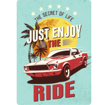 Poster met het citaat: The Secret of Life, Just Enjoy the Ride, met auto- en palmmotief