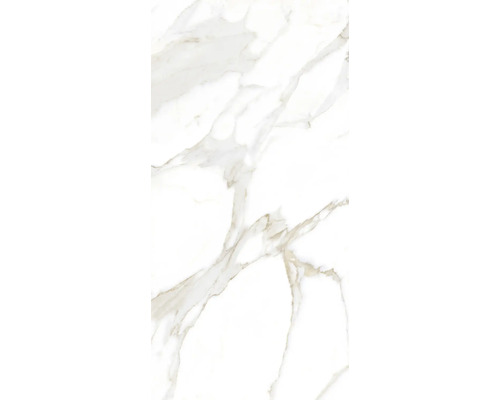 Wand- en vloertegel Jade 60 x 120 cm gerectificeerd Tegel met marmerlook
