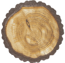 Houten schijf met jaarringen