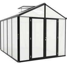 Kas met dubbele deur en dakraam voor de tuin