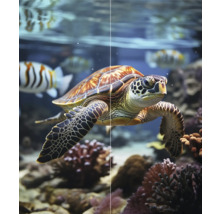 Een zeeschildpad zwemt in een aquarium met vissen en koraal.