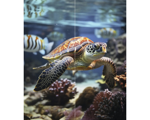 Een zeeschildpad zwemt in een aquarium met vissen en koraal.