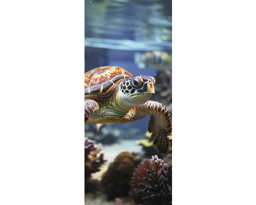 Een zeeschildpad zwemt in het water.