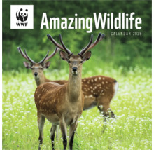 Amazing Wildlife Kalender 2025 met WWF Logo en afbeelding van herten