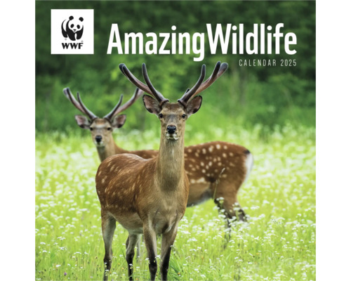 Muurkalender 2025 Amazing Wildlife WWF 30x30 cm