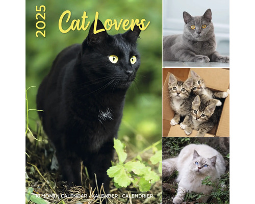 Muurkalender 2025 Cat Lovers 30x30 cm