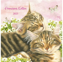 Francien Katten Kalender 2025