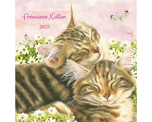 Muurkalender 2025 Franciens Katten 30x30 cm