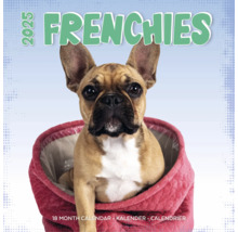 Frenchies kalender voor 18 maanden
