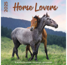 Paardenkalender 2025 met twee paarden in een weiland
