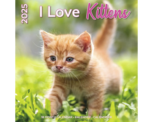 Muurkalender 2025 Kittens 30x30 cm