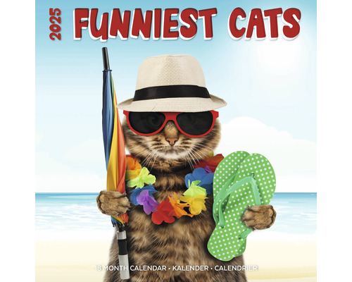 Muurkalender 2025 Funniest Cats 30x30 cm