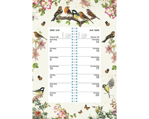 Weekkalender Vogels III 24x34 cm