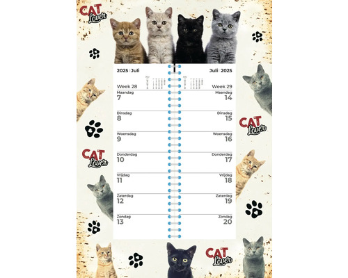 Weekkalender Katten II 24x34 cm