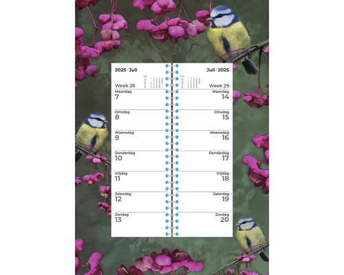 Weekkalender Vogels II 24x34 cm